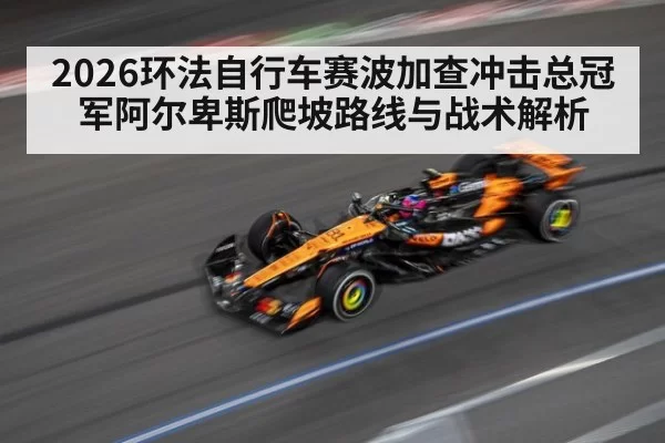 2026环法自行车赛波加查冲击总冠军阿尔卑斯爬坡路线与战术解析